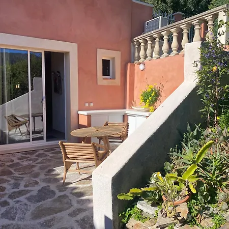 Les Terrasses De Lo Bed & Breakfast Bormes-les-Mimosas Exterior photo