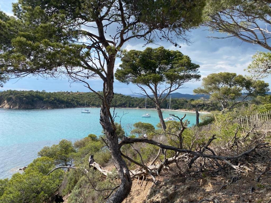 Les Terrasses De Lo Bormes-les-Mimosas
