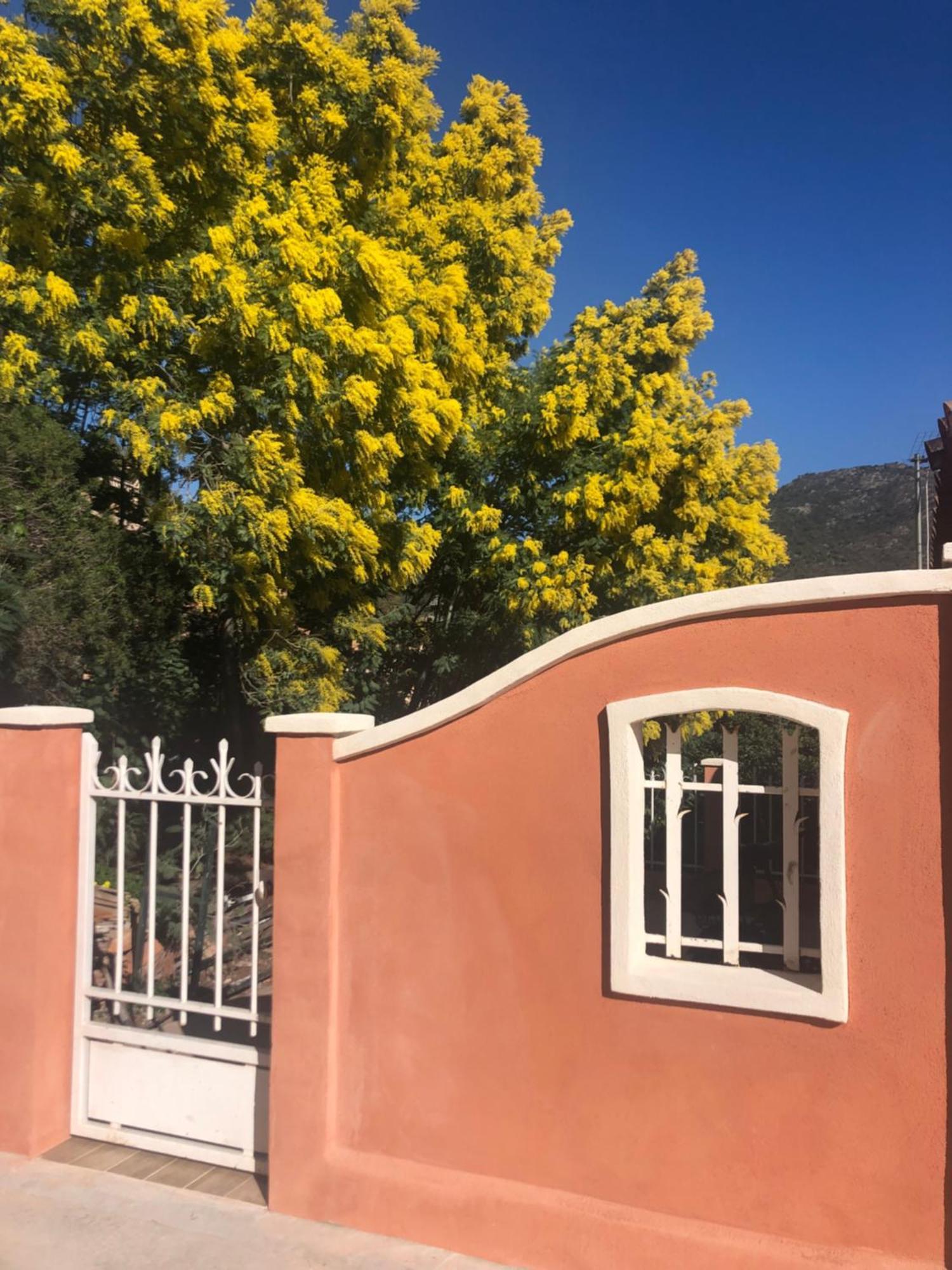 Les Terrasses De Lo